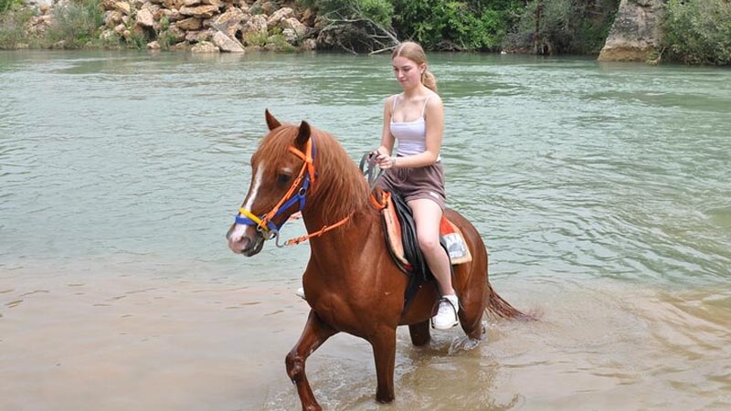 horse ranch okurcalar
