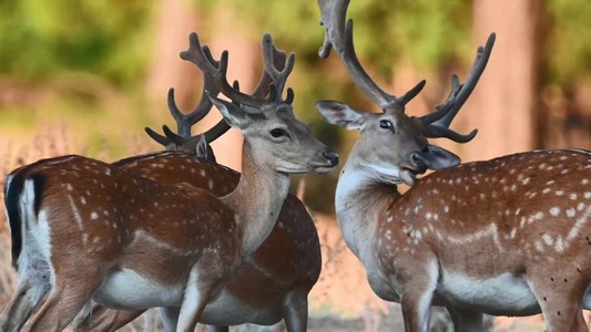 133d9aad-1eb2-4b20-8784-c52044fabfaf