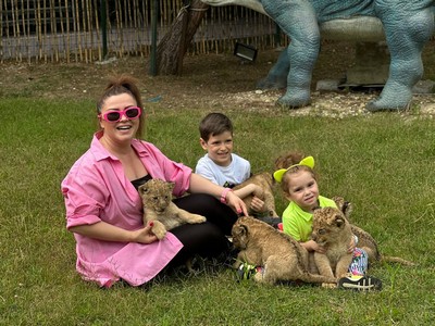 27008ef7-c878-4a3d-b642-e1aaac8197a2