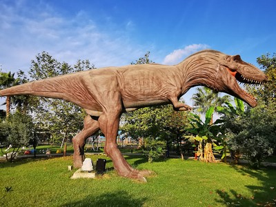 34a2a9b5-06d8-4474-867e-f8da42acae9d