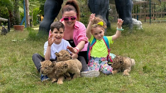 64ecb9b9-fdb0-46ac-8d03-35180e59afa9