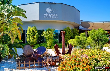 antalya-akvaryum-01