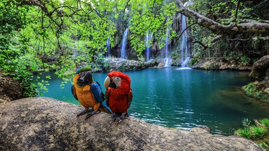 antalya kursunlu waterfall avsallar