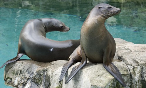 d4bb1ae5-77ad-463b-90cb-a521983b5fde