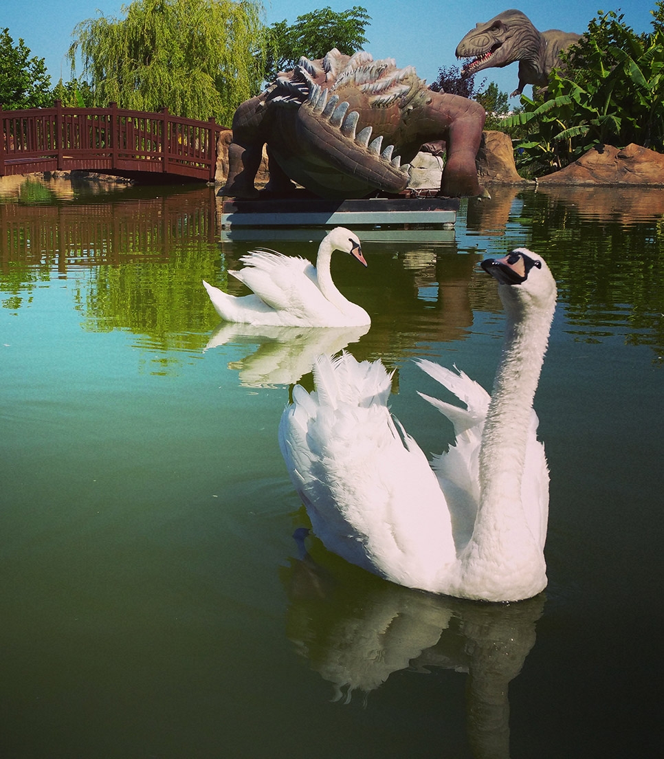 kus-cenneti-1503476061