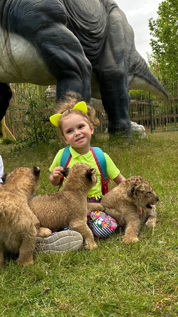lion park show