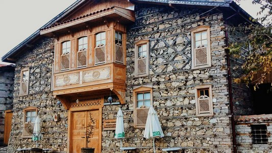 ormana-dugmeli-evler