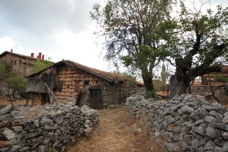 sarıhacılar ormana