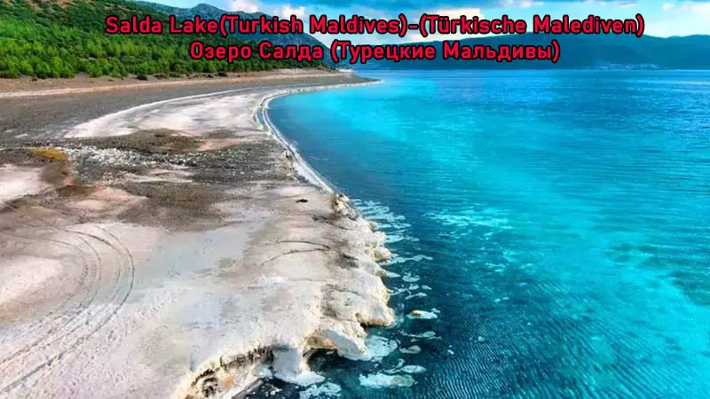 salda from okurcalar