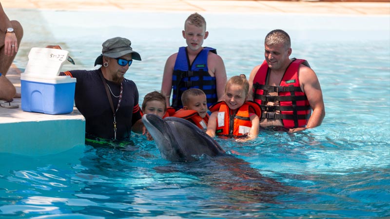 swimming dolphin with kids okurcalar