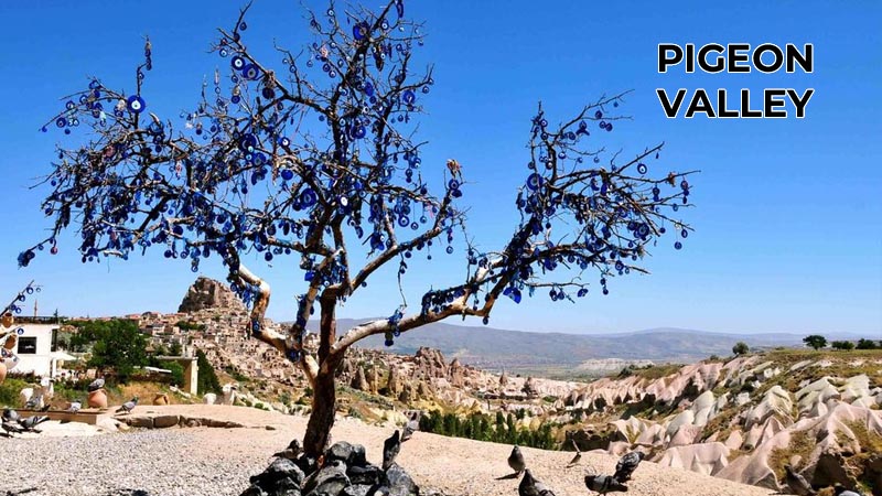 pigeon valley alanya cappadocia