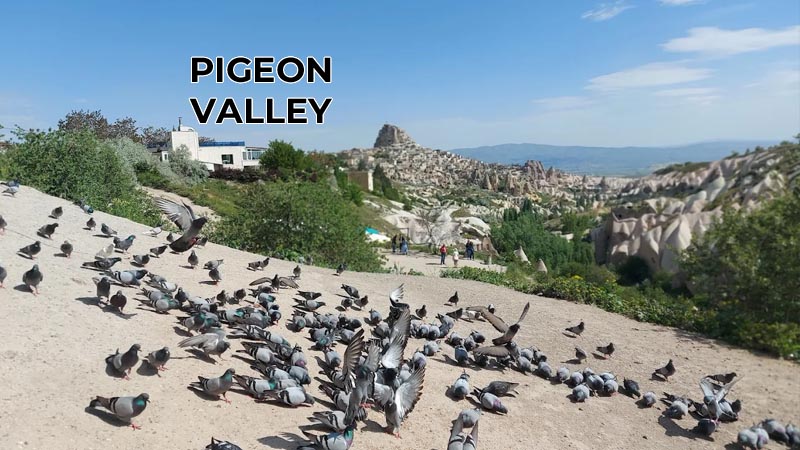 pigeon valley cappadocia