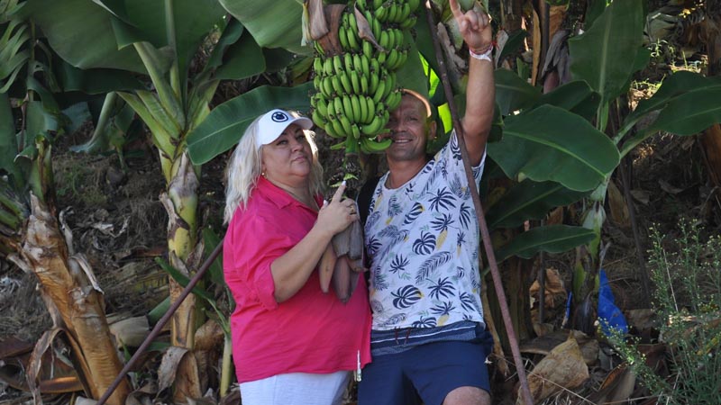 alanya banana garden