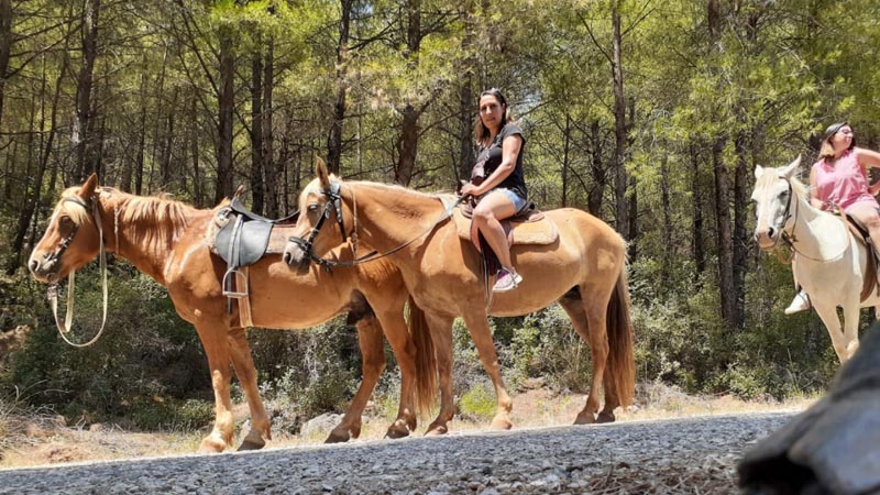 alanya horse safari tour