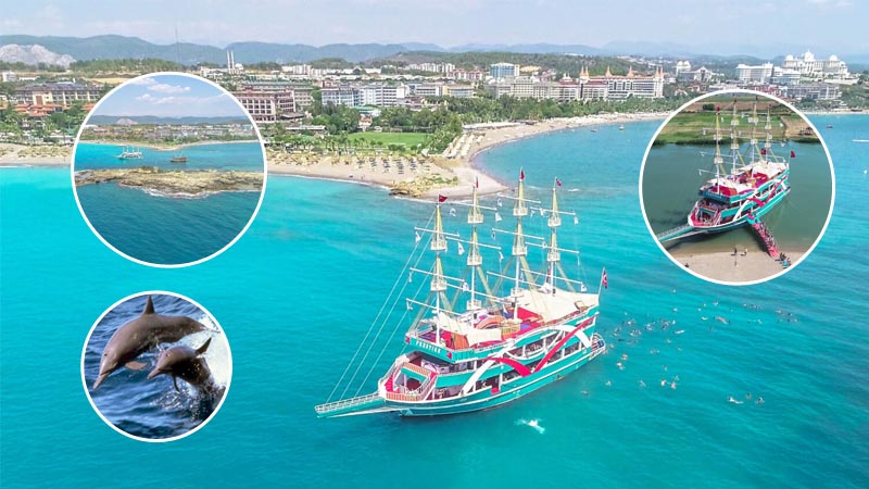 dolphin island boat tour from side