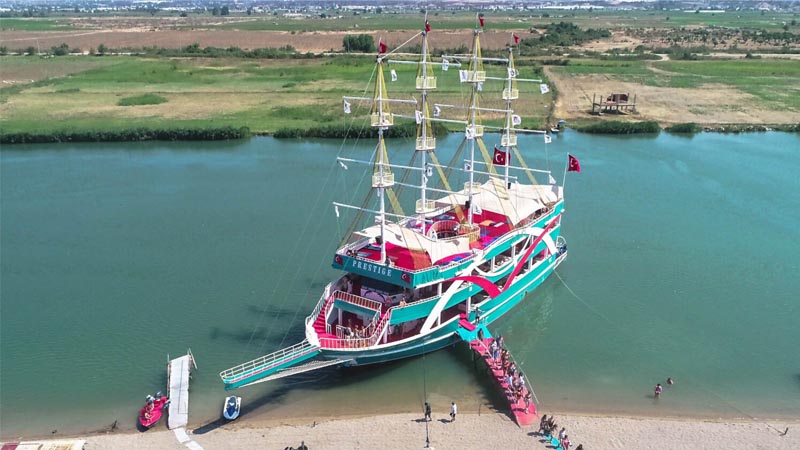 dolphin island boat tour