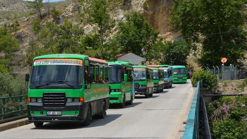 flying horses safari green bus