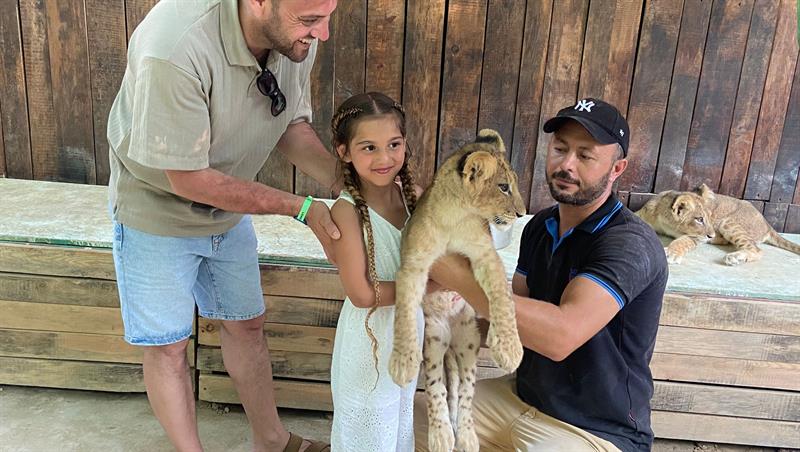 lion photo in alanya