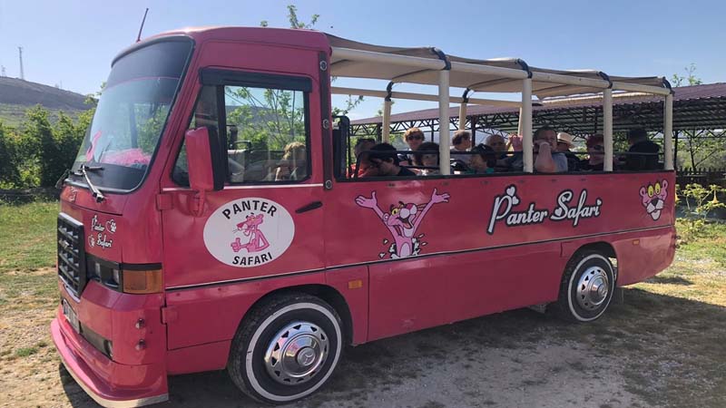 panter safari pink alanya