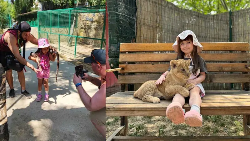 photo with lions
