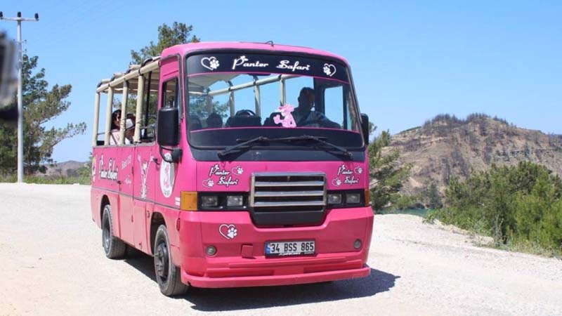 pink panter safari