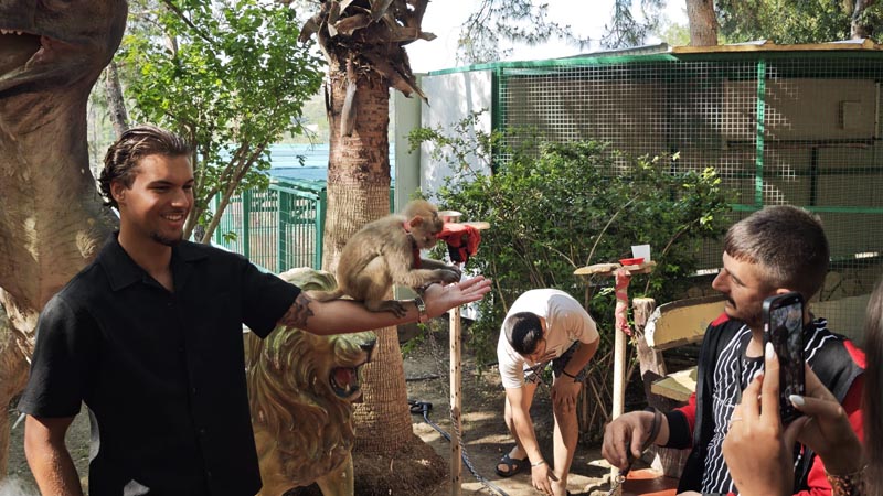 alanya monkey photo