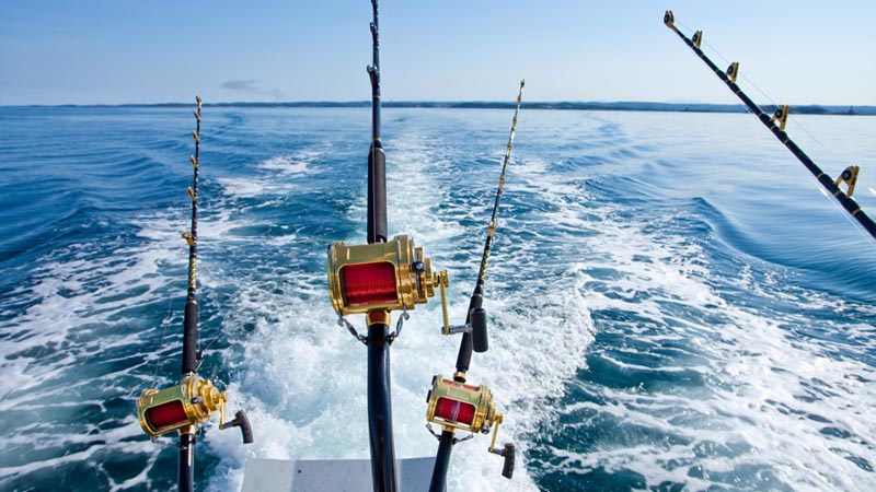 okurcalar deep sea fishing