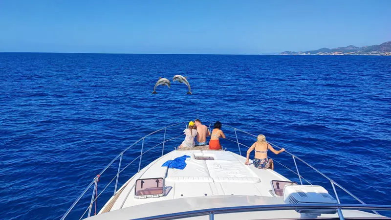 okurcalar dolphin-island-yacht tour