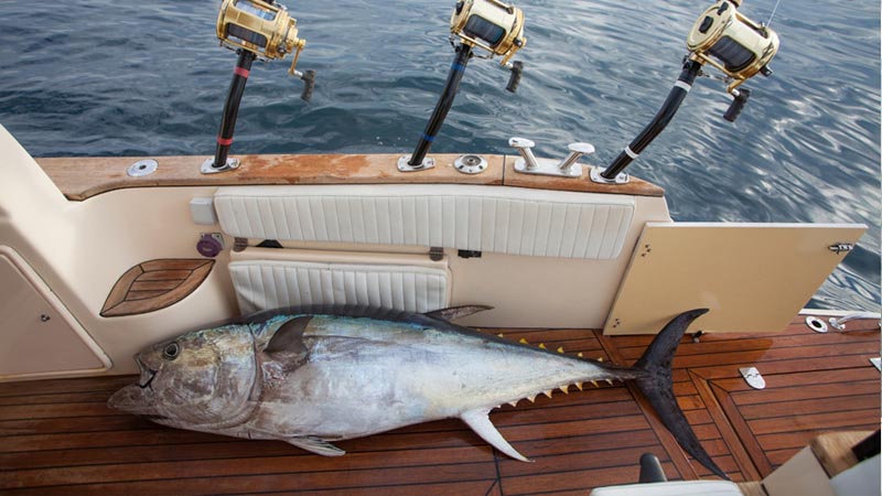 trolling fishin alanya