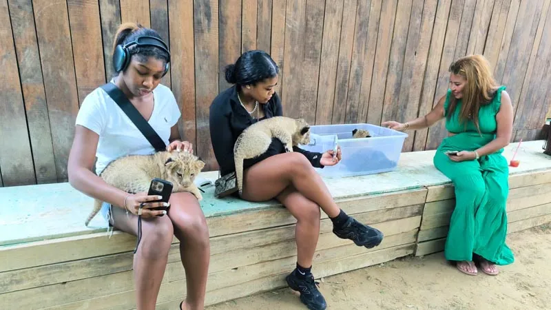 holding-lions-in-belek-and-antalya