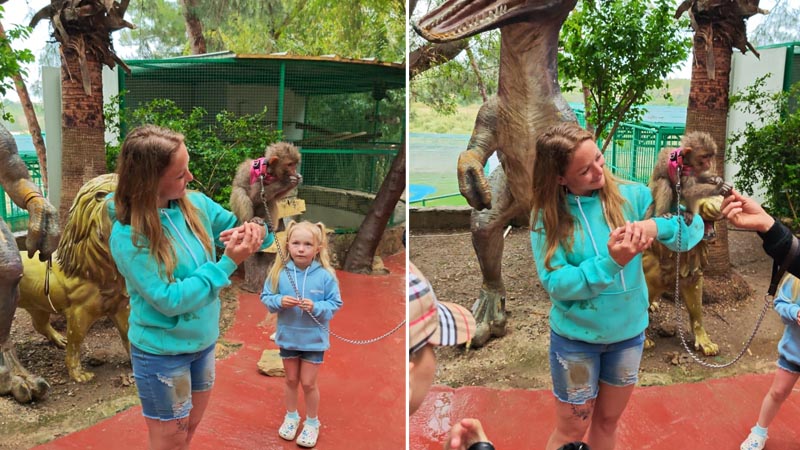 photo with monkey in belek