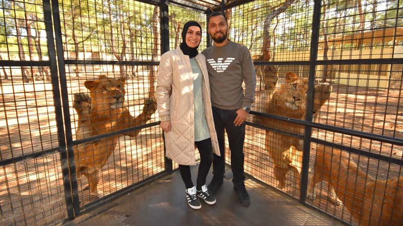 photo with lions kemer